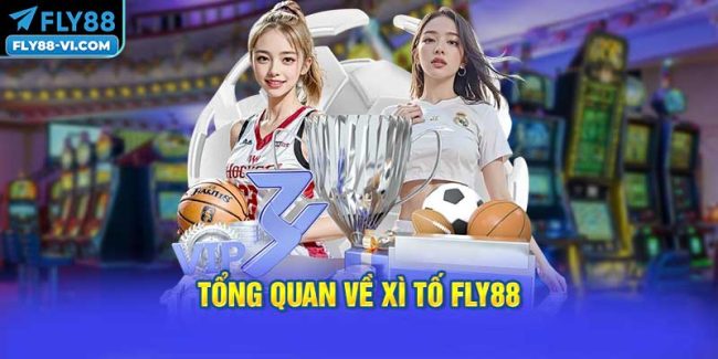 Tổng Quan Về Xì Tố FLY88